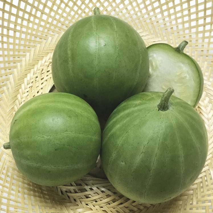 50 Young Watermelon Seeds