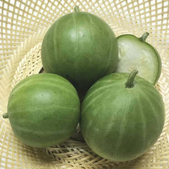 50 Young Watermelon Seeds
