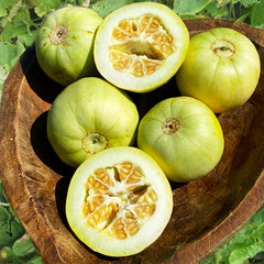 50 Cantaloupe Apple Melon Seeds