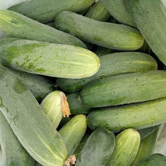 Stack of green cucumbers on a white background