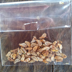 30 Seeds IVY GOURD Coccinia grandis Scarlet gourd tindora Seeds