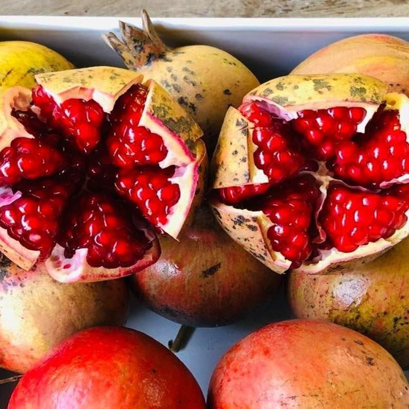 Pomegranates with some opened to reveal red seeds on a white surface.