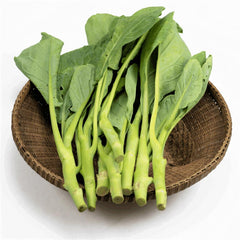 1000 Thai Kale Vegetable Non-gmo Heirloom Seeds