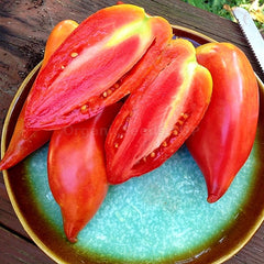 100 Long Korean Exotic Tomato Seeds