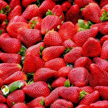 100 Durihyang Korean Strawberry Fruit Seeds