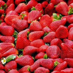 100 Durihyang Korean Strawberry Fruit Seeds