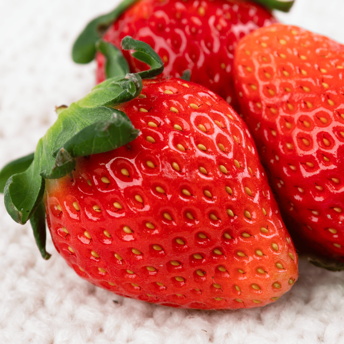 100 Vitaberry Korean Strawberry Fruit Seeds
