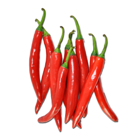 100 Capsicum frutescens Red Thai Chili Pepper Seeds