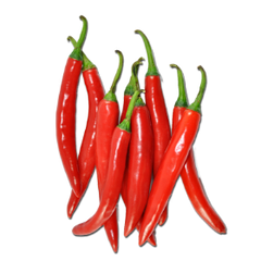 100 Capsicum frutescens Red Thai Chili Pepper Seeds
