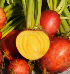 100 Golden Detroit Beet Heirloom Seeds Vegetable Non-Gmo