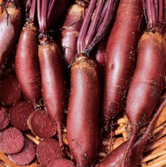 300 Cylindra Beet Vegetable Non-Gmo Heirloom Seeds