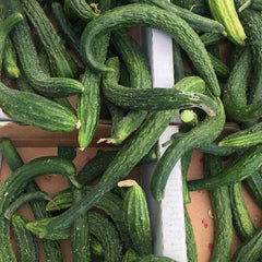 100 Suyo Long Cucumber Non GMOs Vegetable Seeds