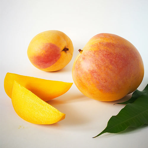 8 Thai R2E2 Mango Tropical Fruit Mangifera Indica L. Seeds