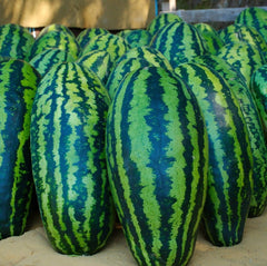 50 Jubilee Watermelon Seeds