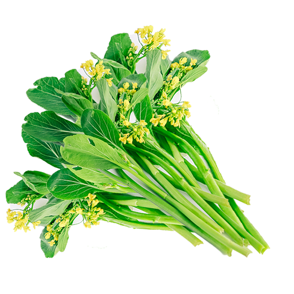 1000 Newburg Choy Sum Choi Sum Seeds Flowering Cabbage