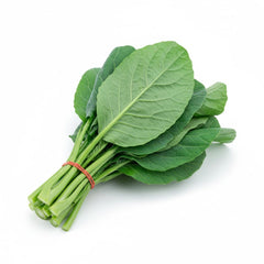 1000 Doi Kham Chinese Kale Kai Lan Kailaan Seeds Brassica Oleracea