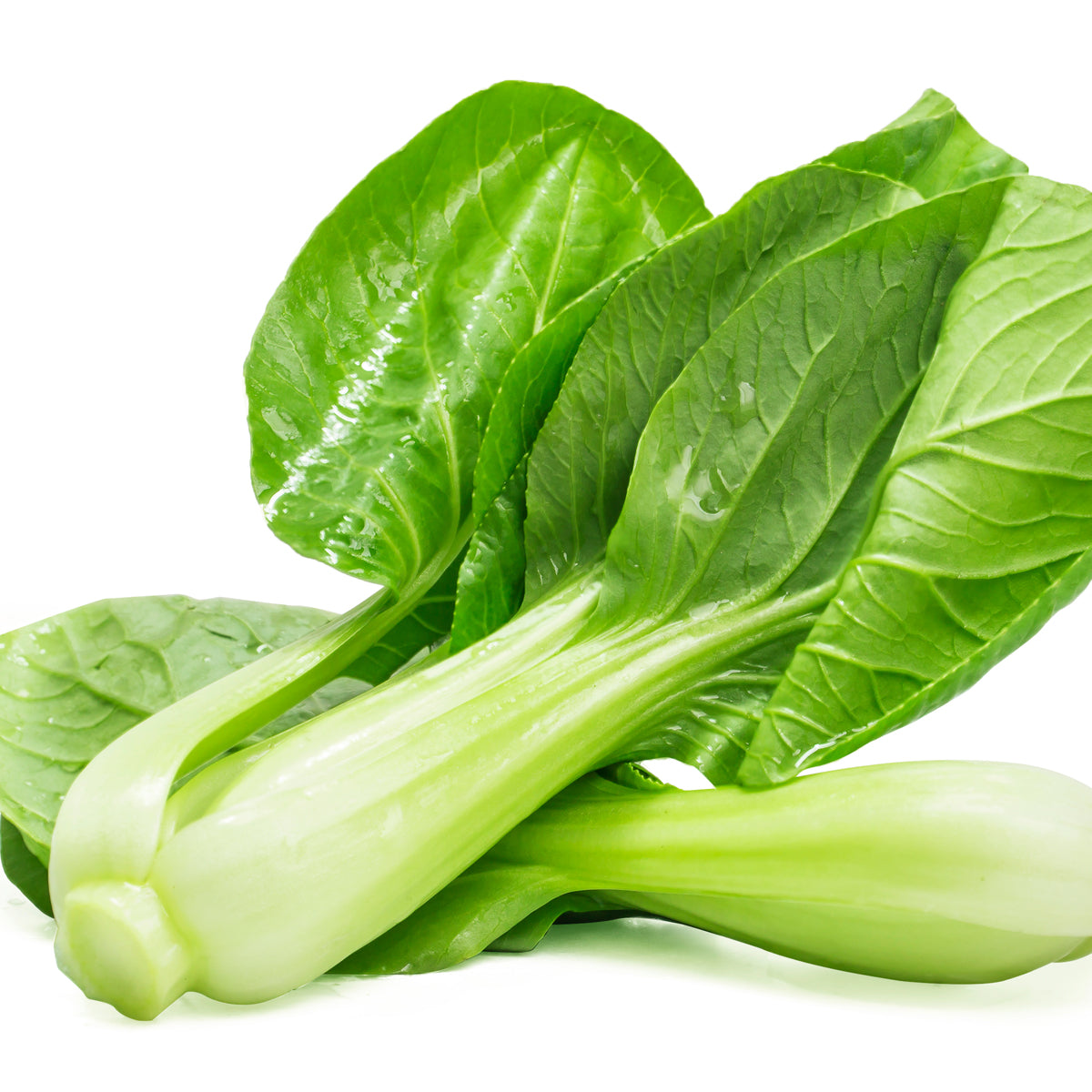 1000 Taiwanese Pak Choi Bok Choy Seeds Flowering Cabbage