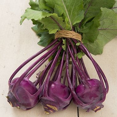 200 Purple Vienna Kohlrabi Seeds Brassica oleracea var. gongylodes