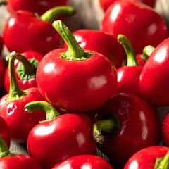 50 Red Cherry Chilli Pepper Vegetable Heirloom NON-GMO Seeds