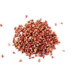 100 Benihoppe Japanese Strawberry Fruit Seeds