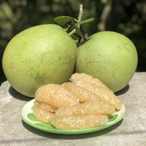 Green pomelo fruit with peeled segments on a plate outdoors