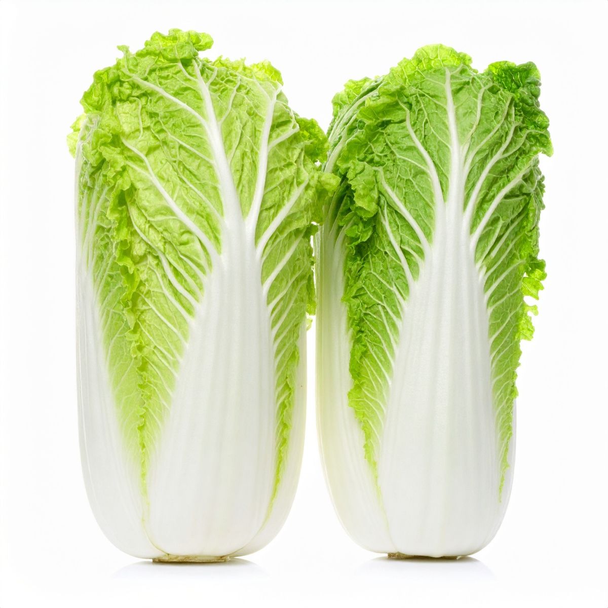 1000 Napa Wa Wa Cho Chinese Cabbage Vegetable Seeds