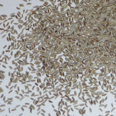 100 German Chamomile Seeds