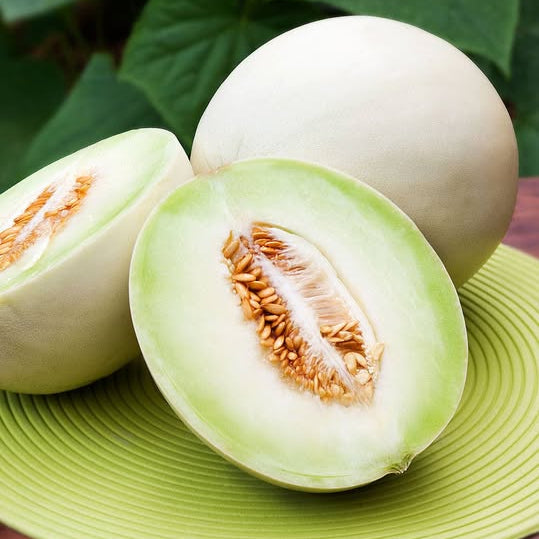 Melon with a slice on a green plate against a leafy green background