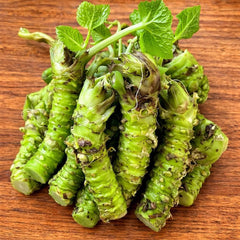 300 Wasabi Japanese Horseradish Sinapis Seeds