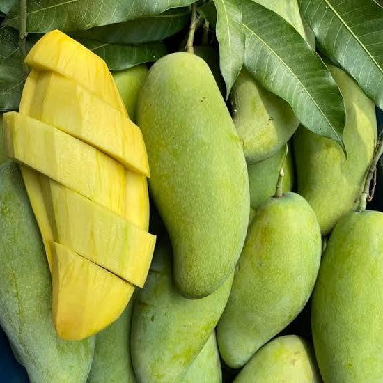 Mangoes with a sliced mango on a background of green leaves