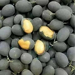 30 Velvet Tamarind Dialium Cochinchinense Pierre Seeds