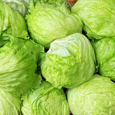 400 Iceberg Lettuce Vegetable Seeds