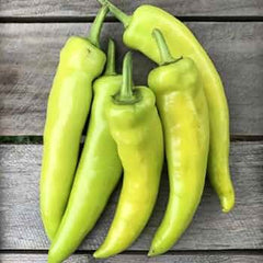 100 Hungarian Hot Wax Banana Chili Pepper Seeds