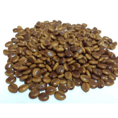 50 Purple Cassia fistula Seeds Thai Golden Shower Tree Seeds
