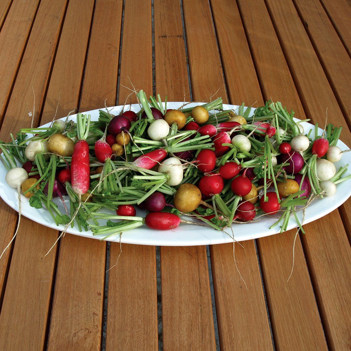 200 Mixed Colorful Radish Vegetable Seeds
