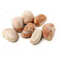 20 Everlasting Jackfruit Rare Sweetest Jack Fruit Seeds