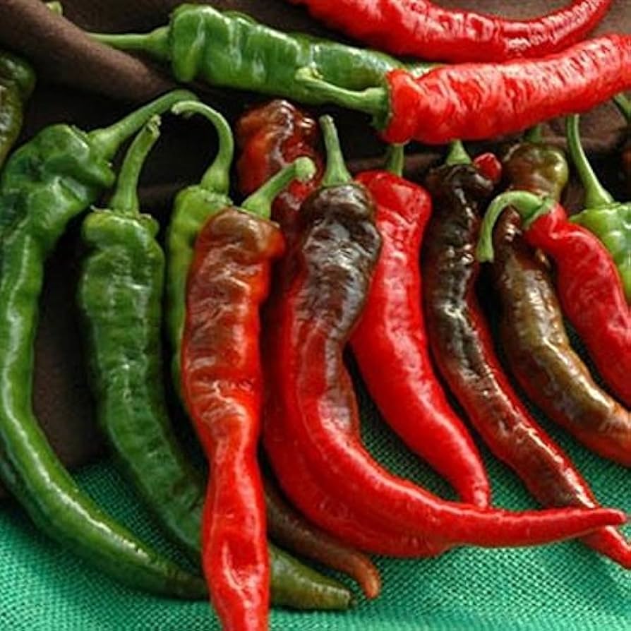 100 Cheyenne Hybrid F1 Chili Pepper Seeds
