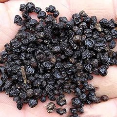 100 Lemon Zest Lantana Camara Flower Seeds