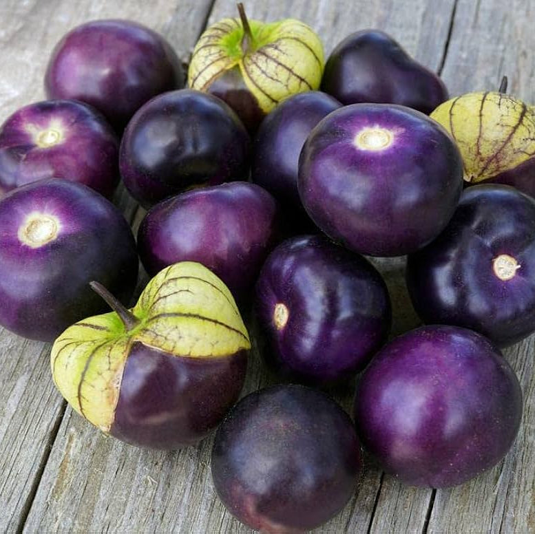 100 Plum Jam Purple Gooseberry Seeds Lantern Fruit
