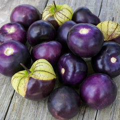 100 Plum Jam Purple Gooseberry Seeds Lantern Fruit