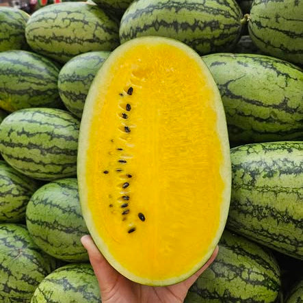 Half-cut yellow watermelon held in front of a stack of whole green watermelons.