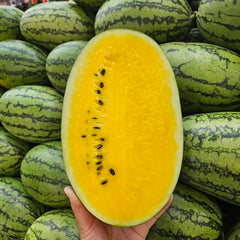 Half-cut yellow watermelon held in front of a stack of whole green watermelons.