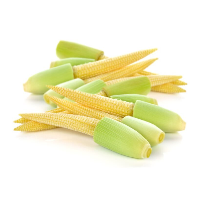 100 Thai Baby Corn Seeds