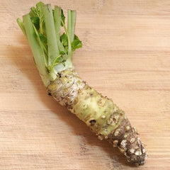 300 Japanese Wasabi Vegetable Heirloom Seeds