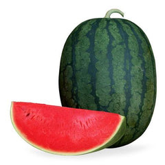 50 Kinnaree Thai Watermelon Seeds