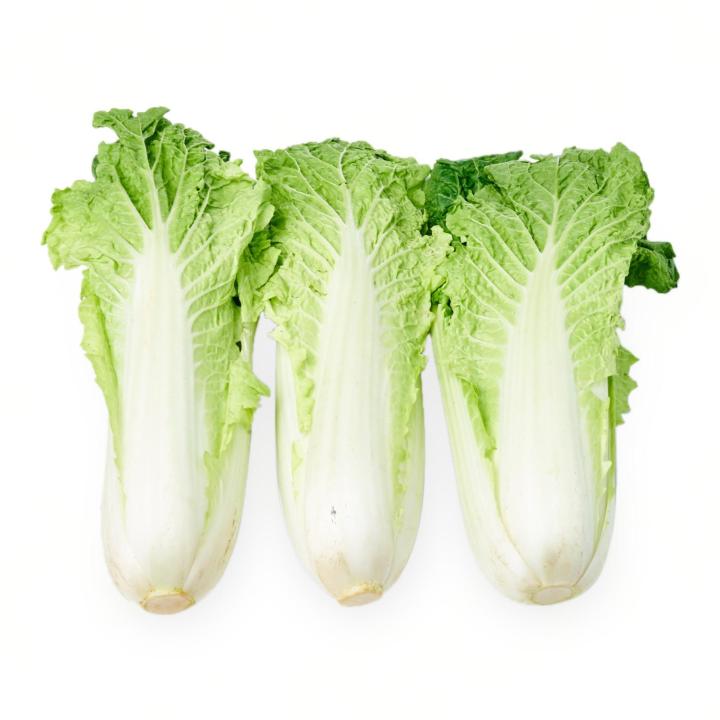 1000 Wongbok Baby Chinese Cabbage Vegetable Seeds