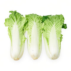 1000 Wongbok Baby Chinese Cabbage Vegetable Seeds