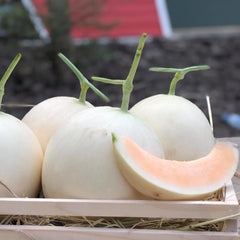 Three whole cantaloupes and one sliced cantaloupe in a wooden crate with a blurred background.