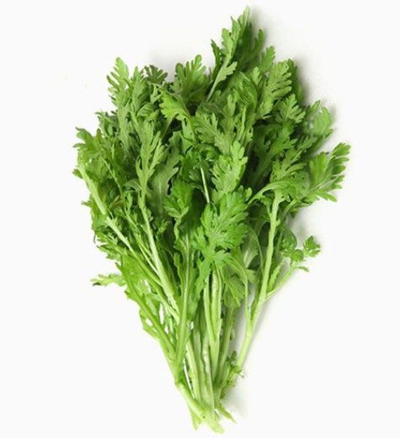 1000 Shungiku Japanese Garland Chrysanthemum Seeds
