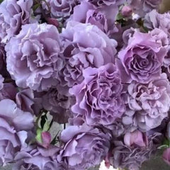 Bouquet of light purple flowers with green leaves